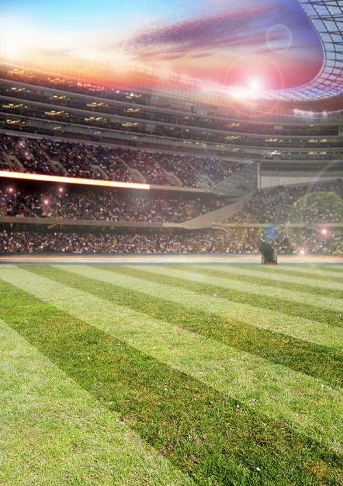 Stadium Football Field Sports Backdrop for Photography LV-030 – Dbackdrop