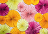 Colorful fan backdrop baby photography background-cheap vinyl backdrop fabric background photography