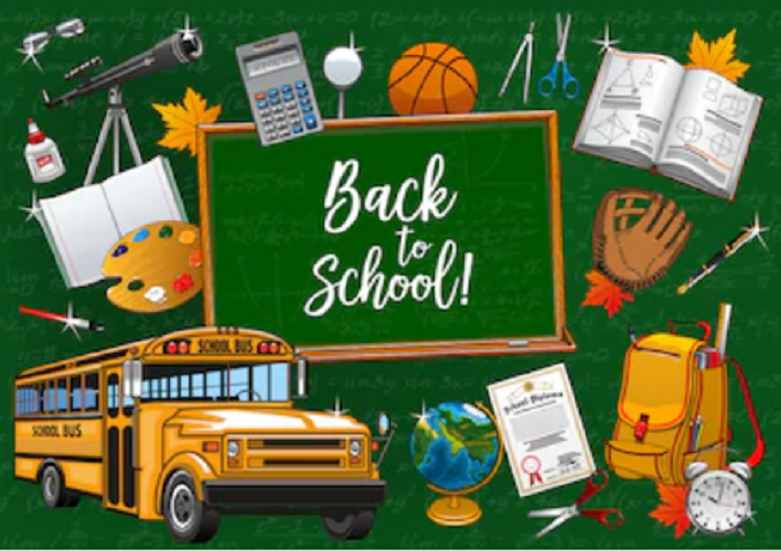 Back to School Theme Workshop Chalkboard Photo Shoot Backdrop D845 –  Dbackdrop